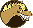 Logo Icon